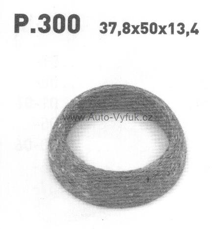 Těsnící kroužek / P.300 / T-250 / 256-250