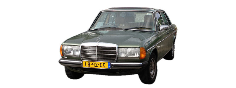 250 - W123