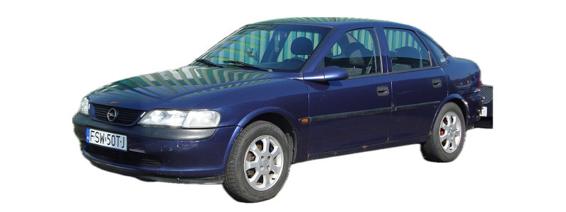 VECTRA B