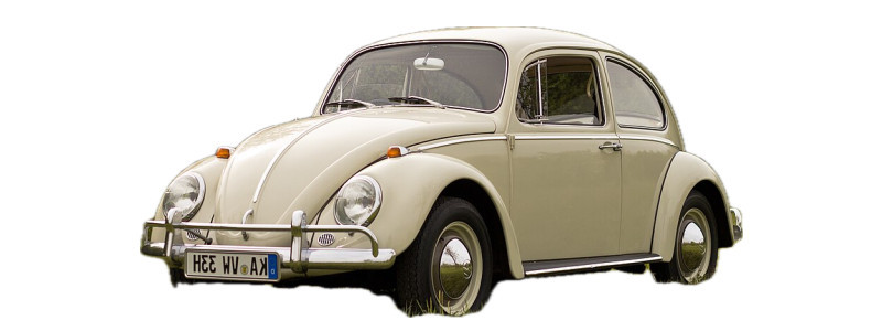 BEETLE