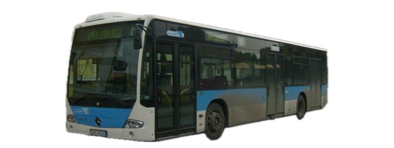 310