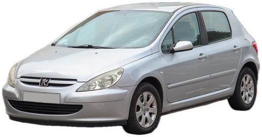 Výfuk PEUGEOT 307