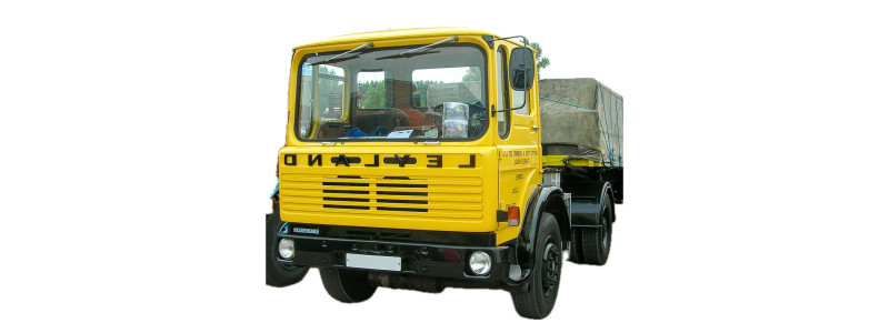 LEYLAND/DAF 45