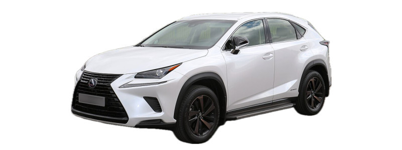NX300h