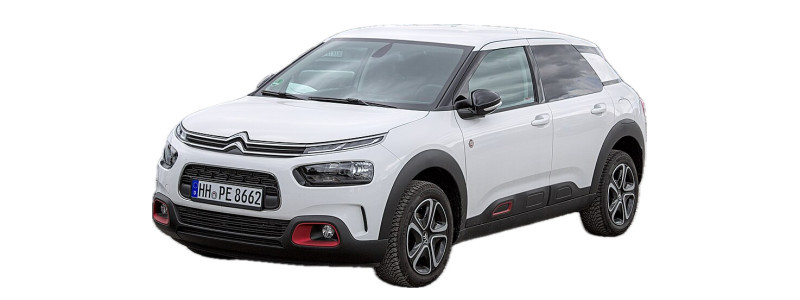 C4 CACTUS