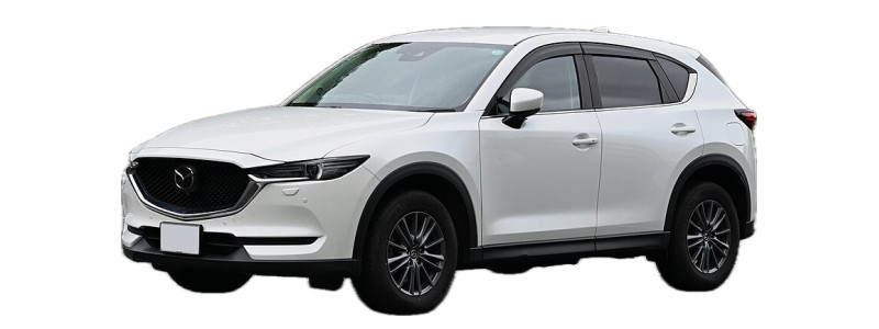 CX 5